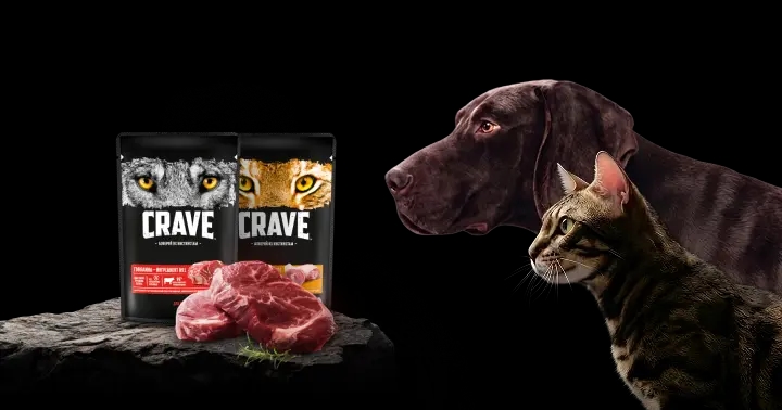 Кошка, собака, crave