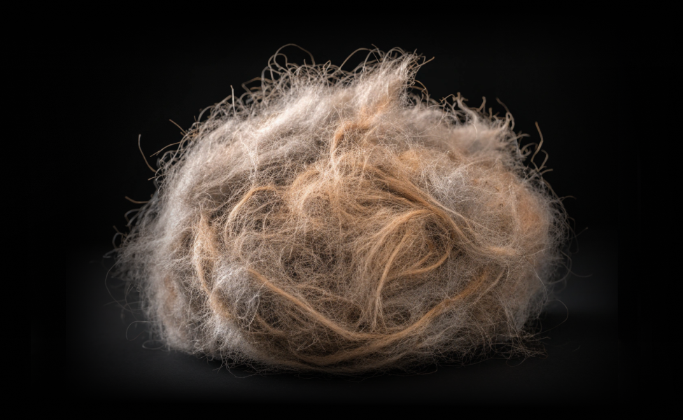 Главное изображение статьи