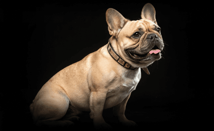 изображение статьи