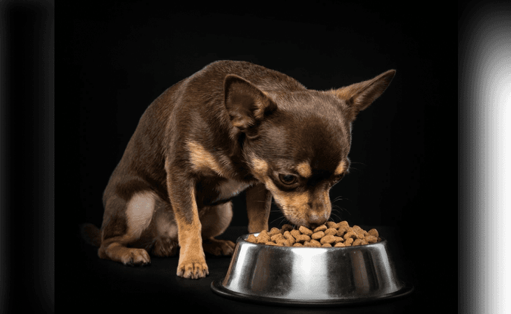 изображение статьи