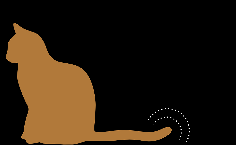 изображение дополняющее содержание статьи