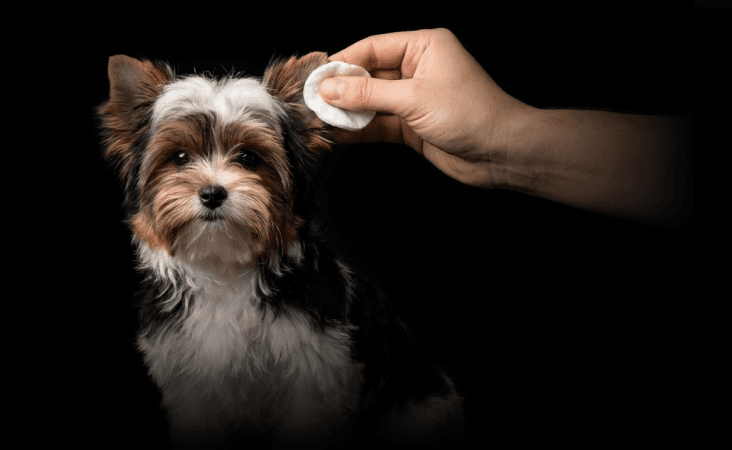 изображение статьи