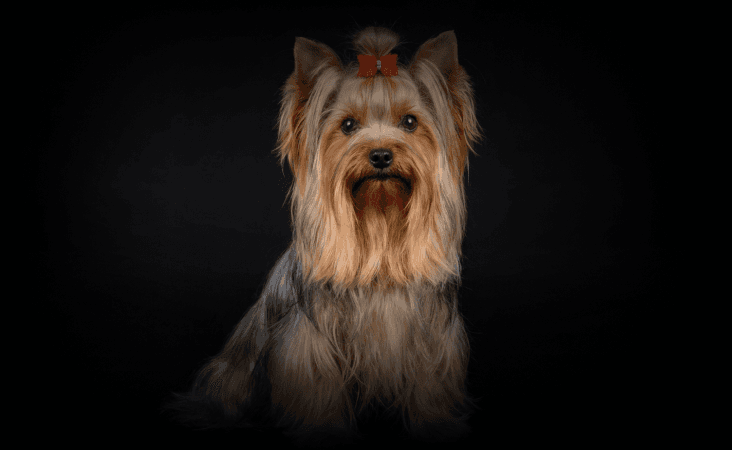 изображение статьи