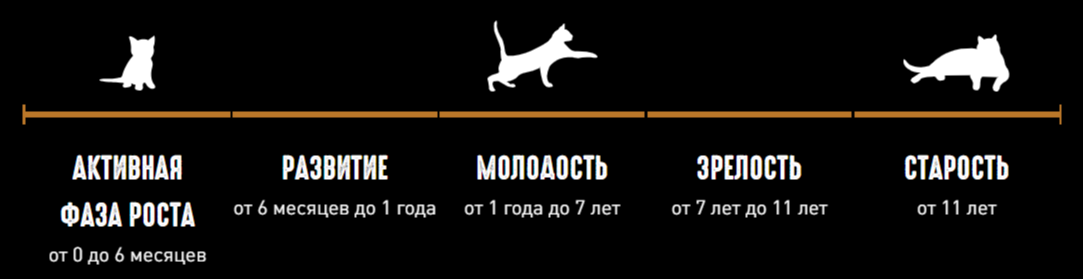 изображение статьи