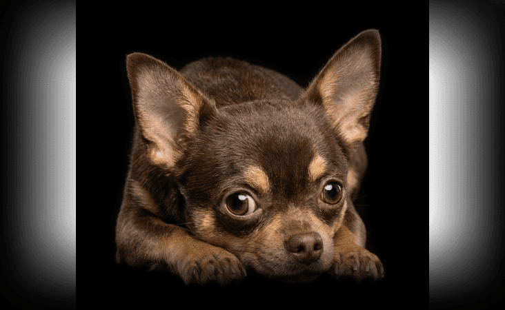 изображение статьи