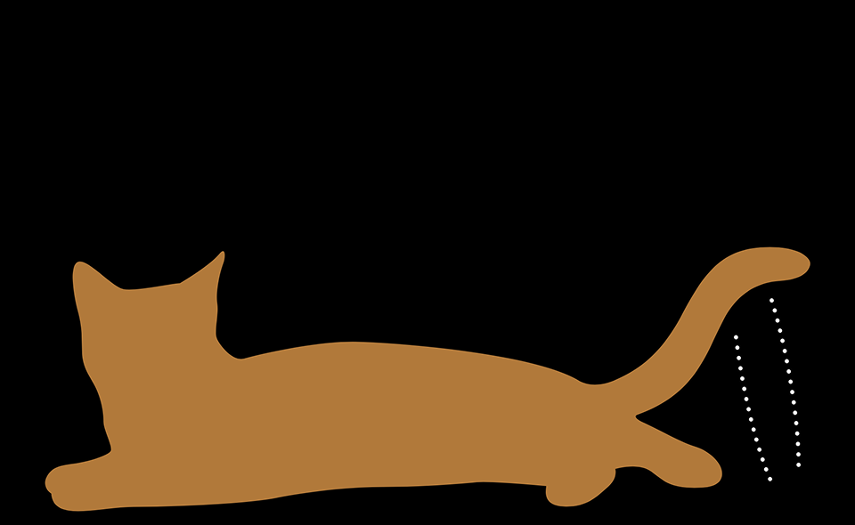 изображение дополняющее содержание статьи