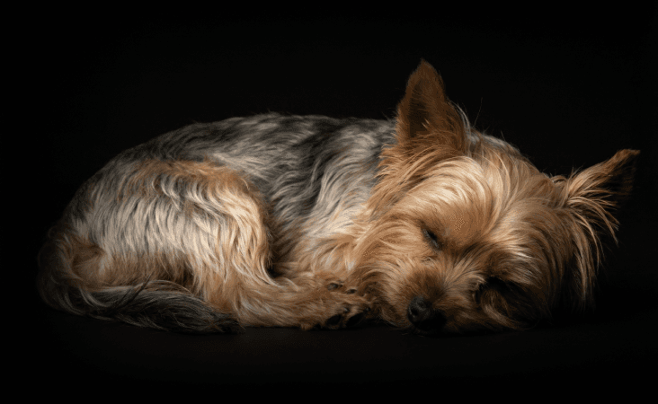 изображение статьи