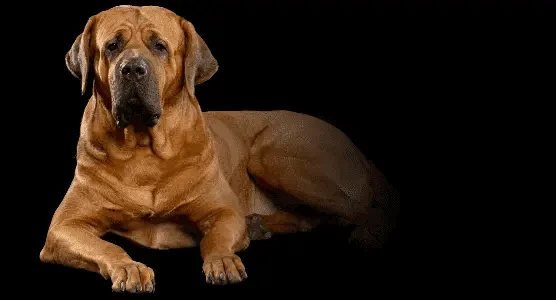Изображение в соседней колонке