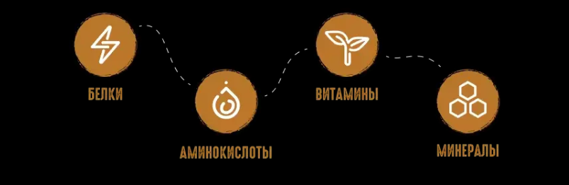 изображение статьи