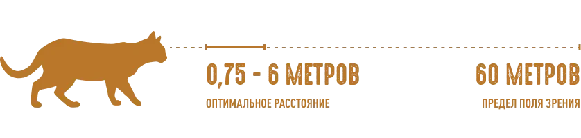 изображение статьи