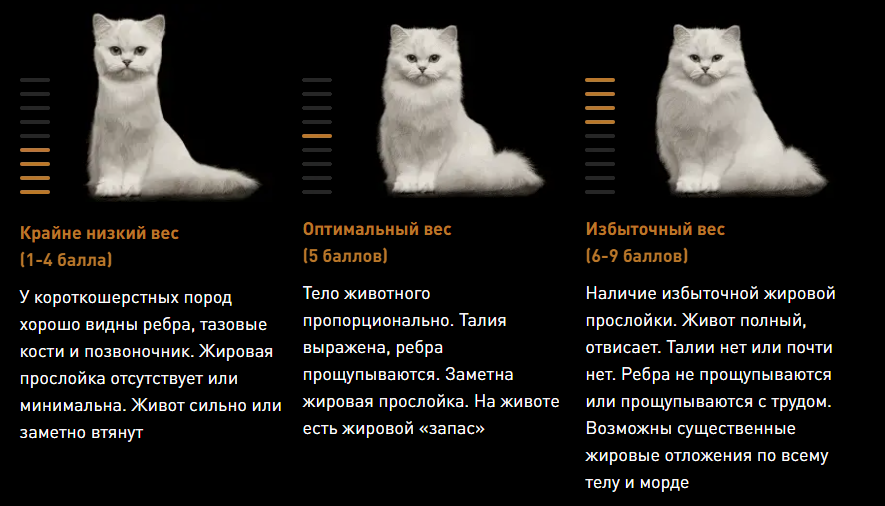 изображение статьи