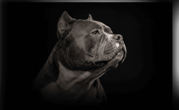 изображение статьи