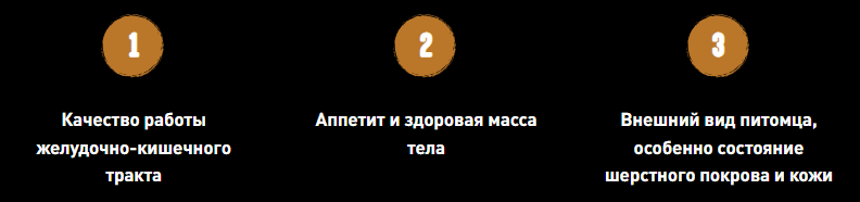 изображение статьи