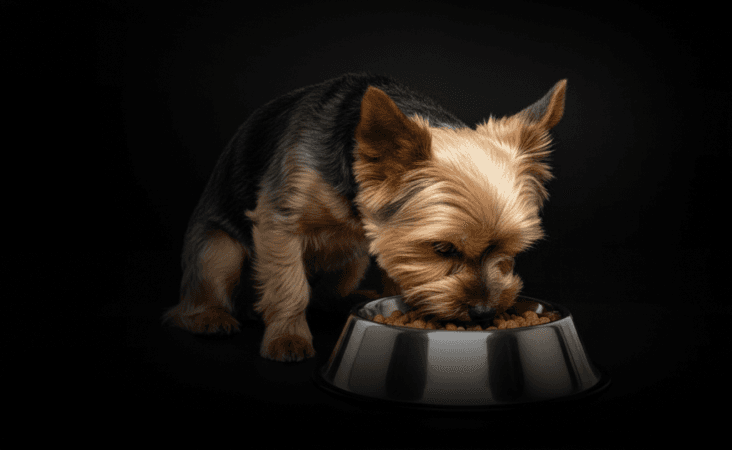 изображение статьи