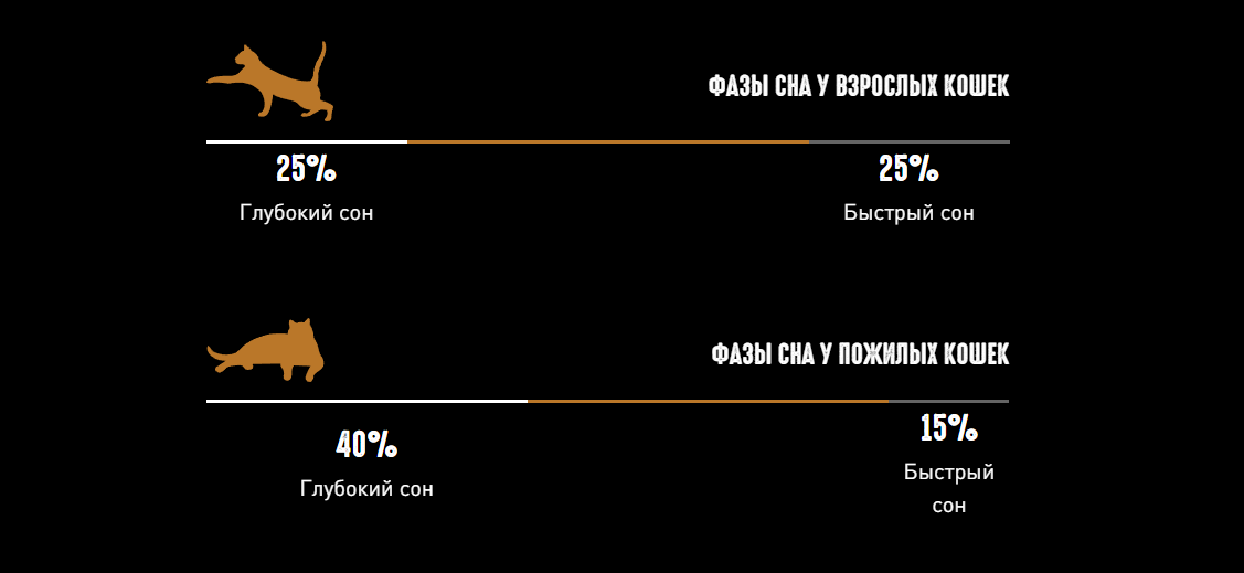 изображение статьи