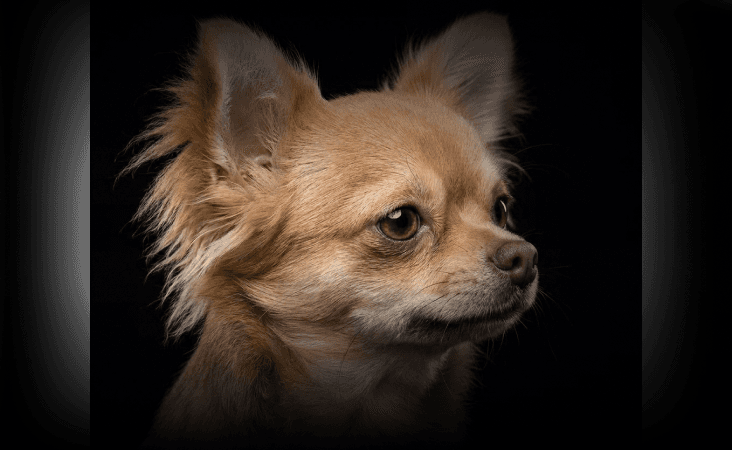 изображение статьи