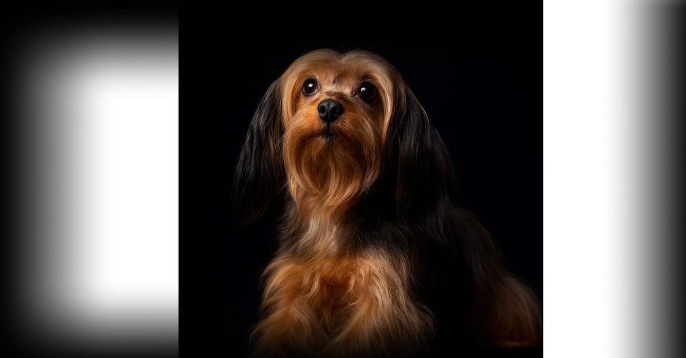 изображение статьи