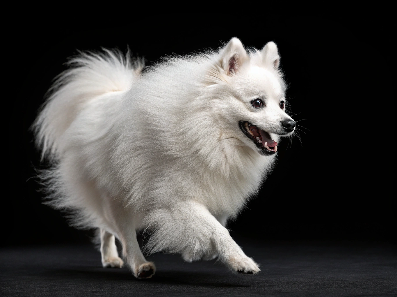 изображение статьи