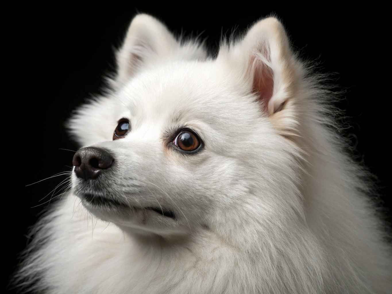 изображение статьи