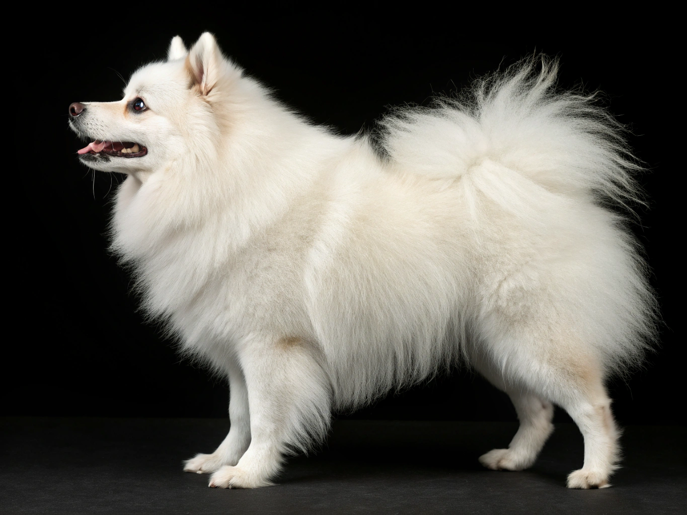 Главное изображение статьи