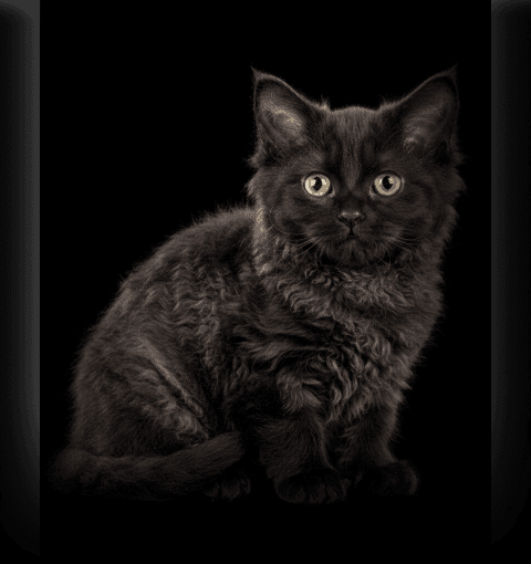 Изображение в соседней колонке