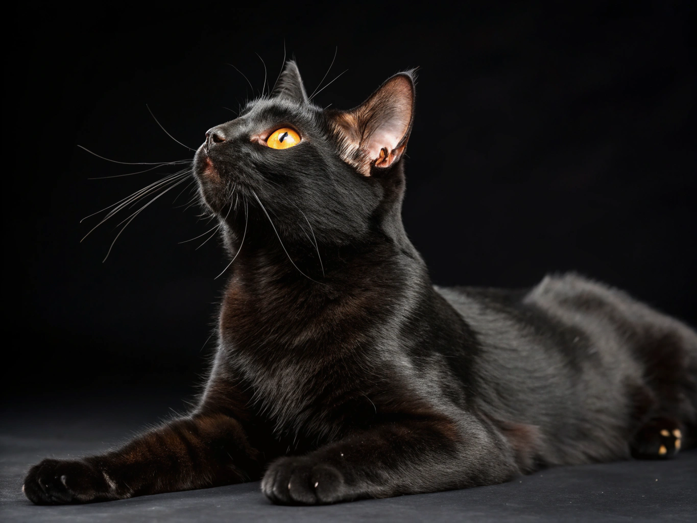 Главное изображение статьи