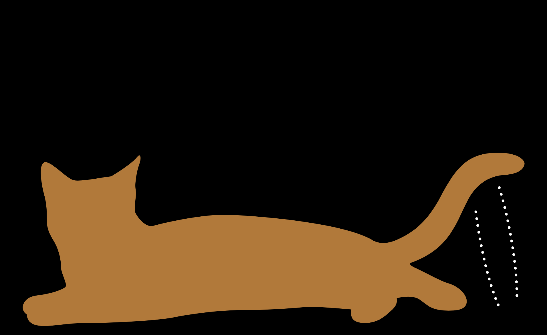 изображение дополняющее содержание статьи