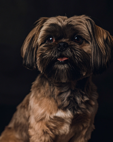 Изображение в соседней колонке