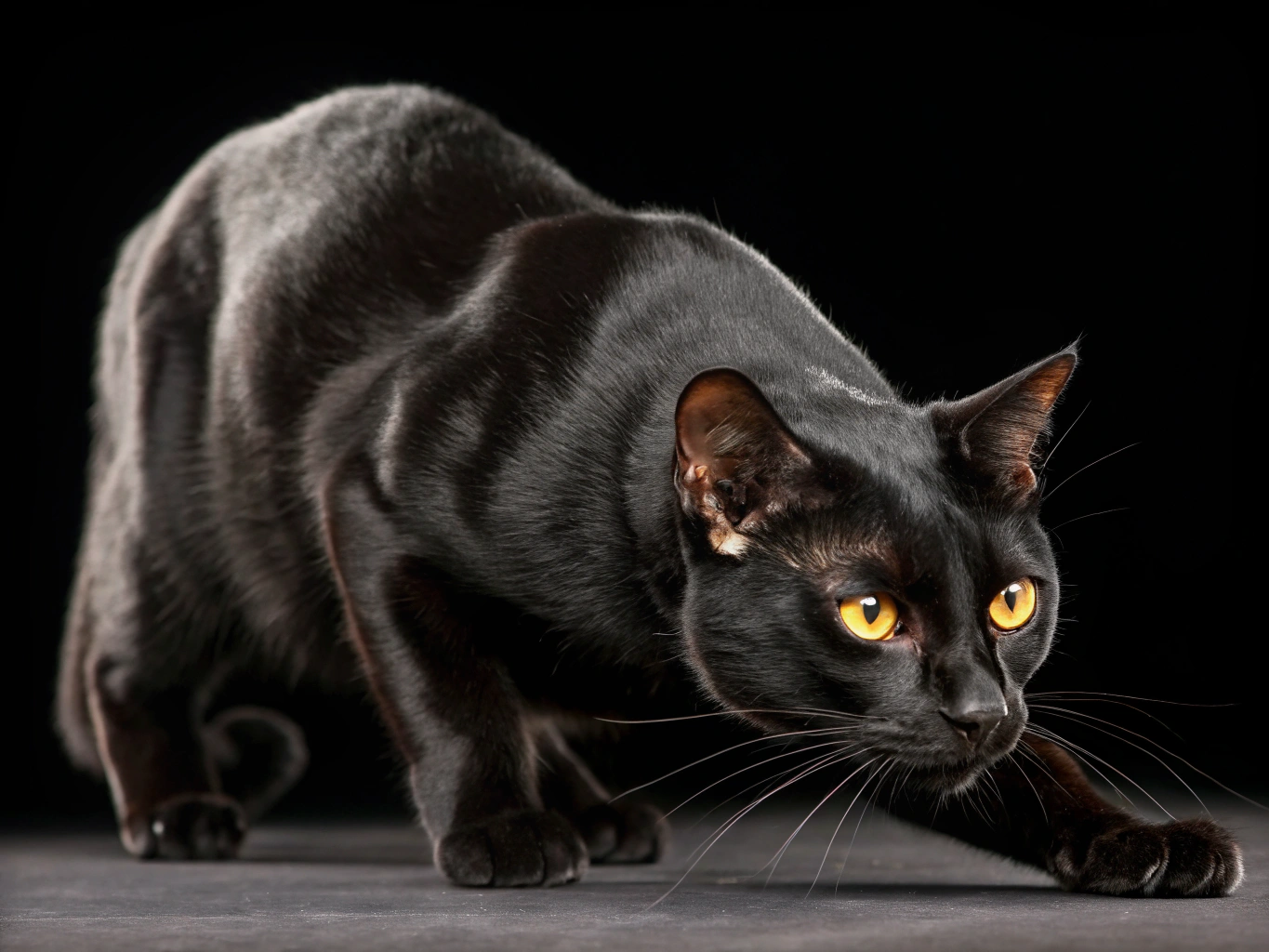 изображение статьи