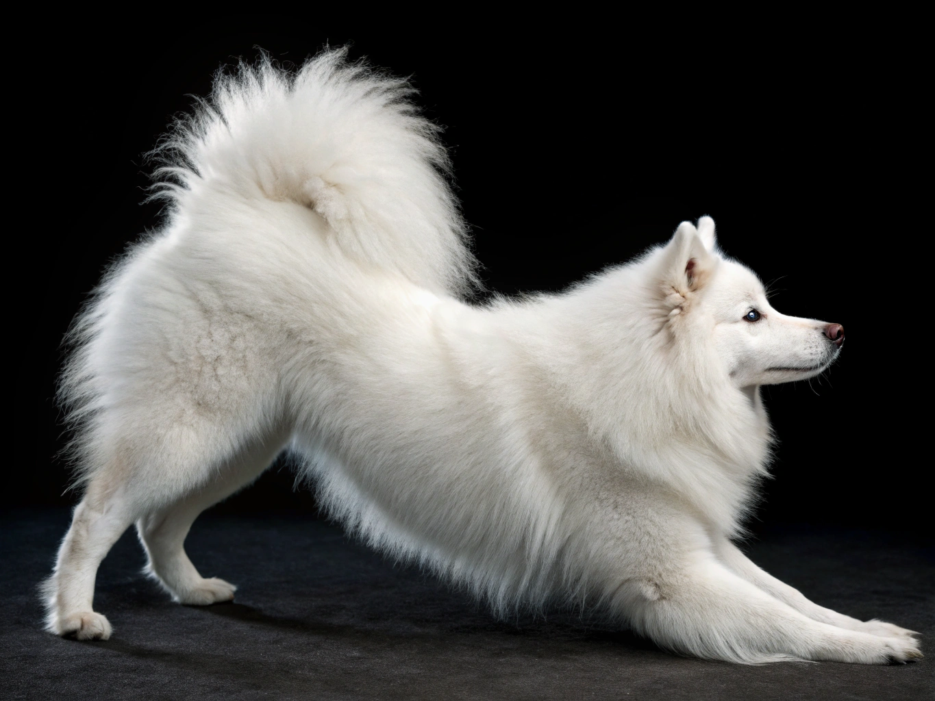 изображение статьи