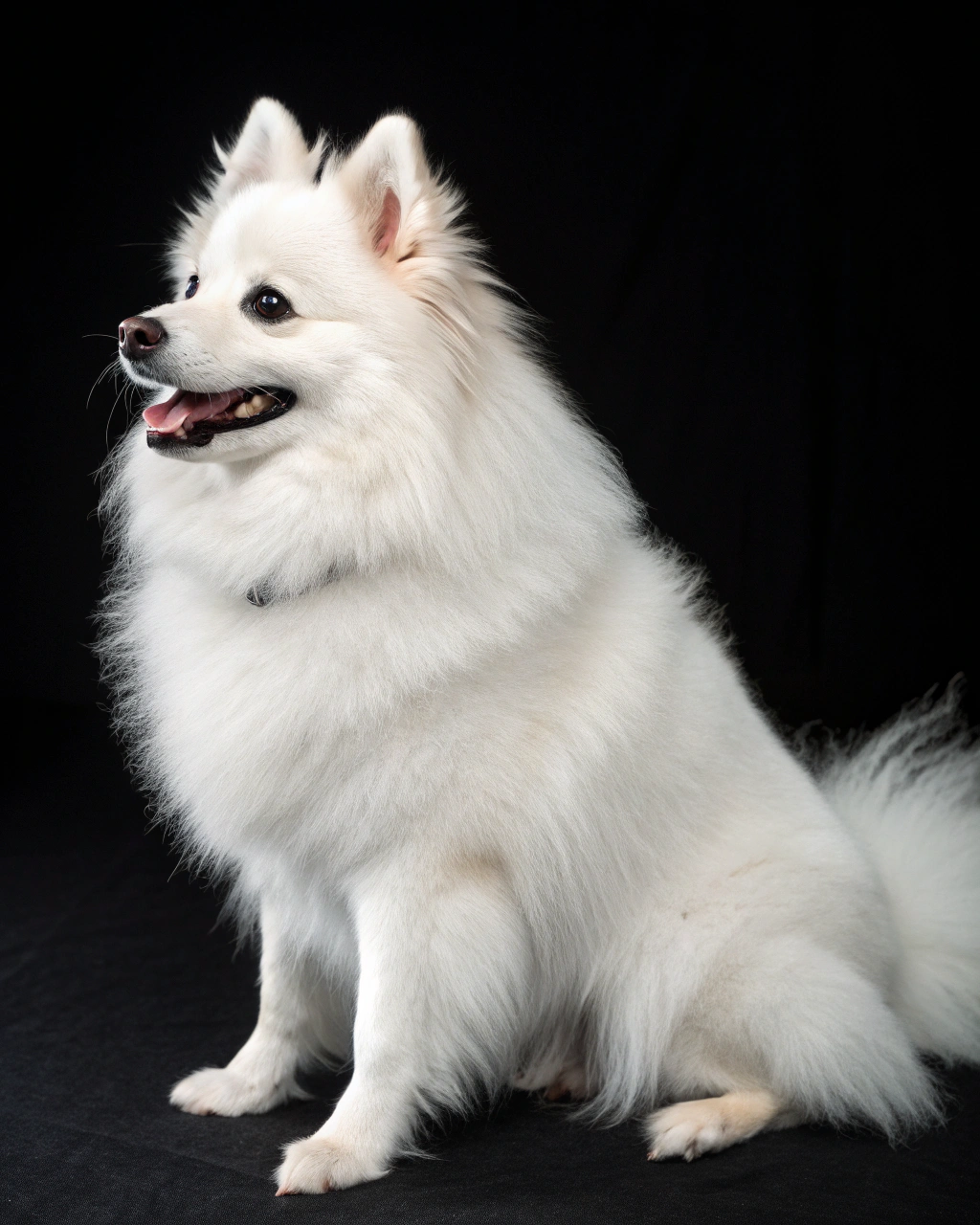 Изображение в соседней колонке