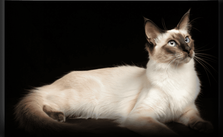 изображение статьи